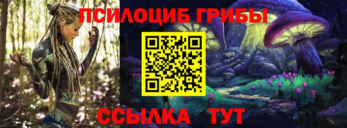 Псилоцибиновые грибы ЛСД  Вход с VPN  Верхний Уфалей 