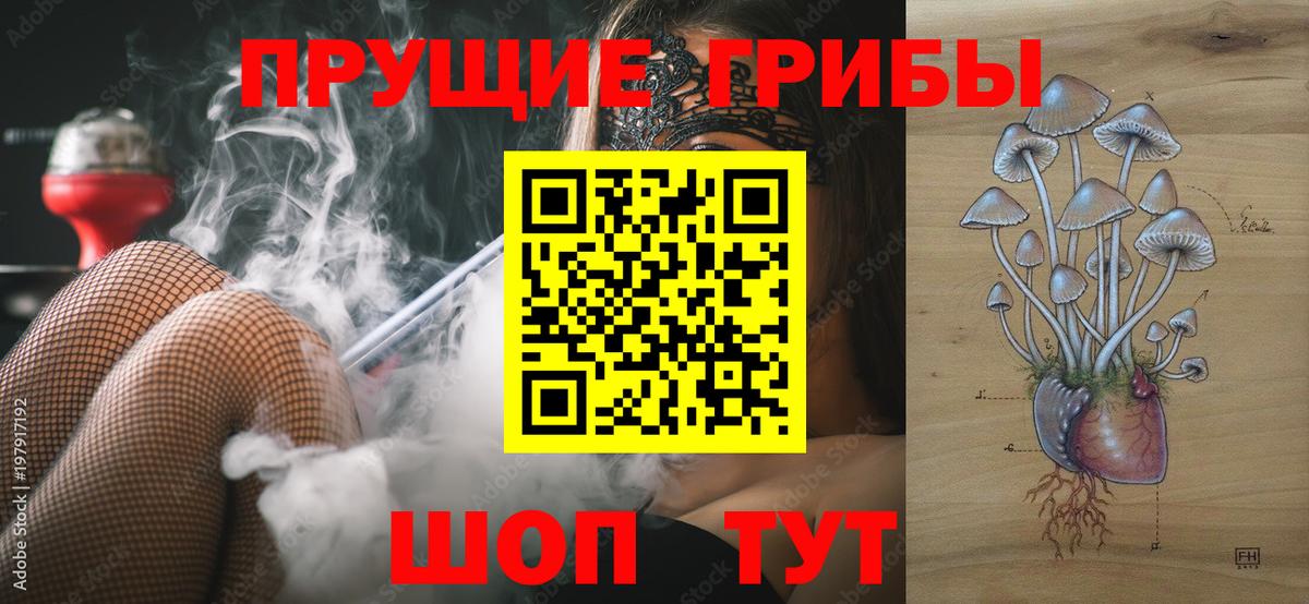 Псилоцибиновые грибы Cubensis Верхний Уфалей